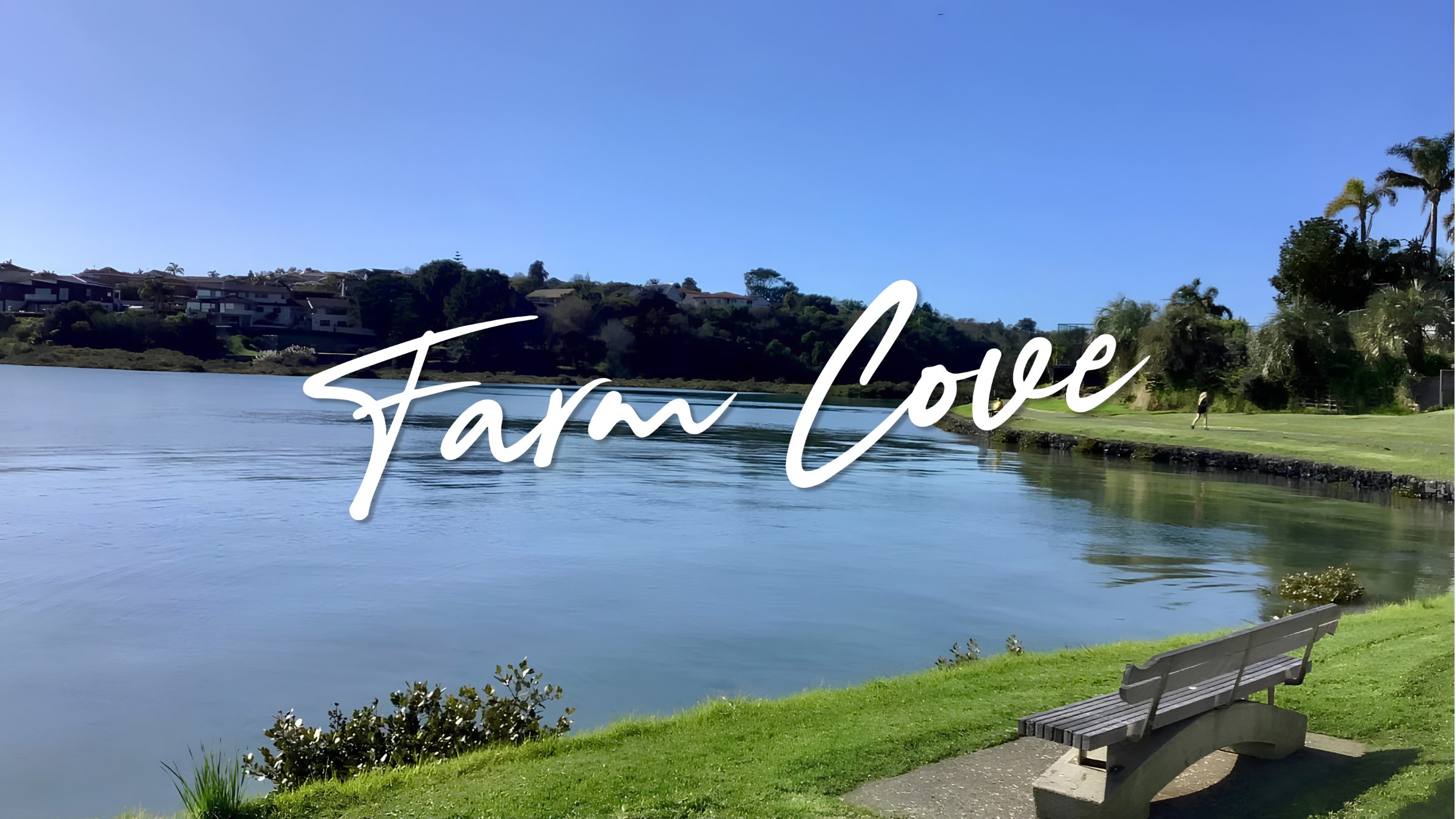 The Farm Cove estuary edge, East Auckland