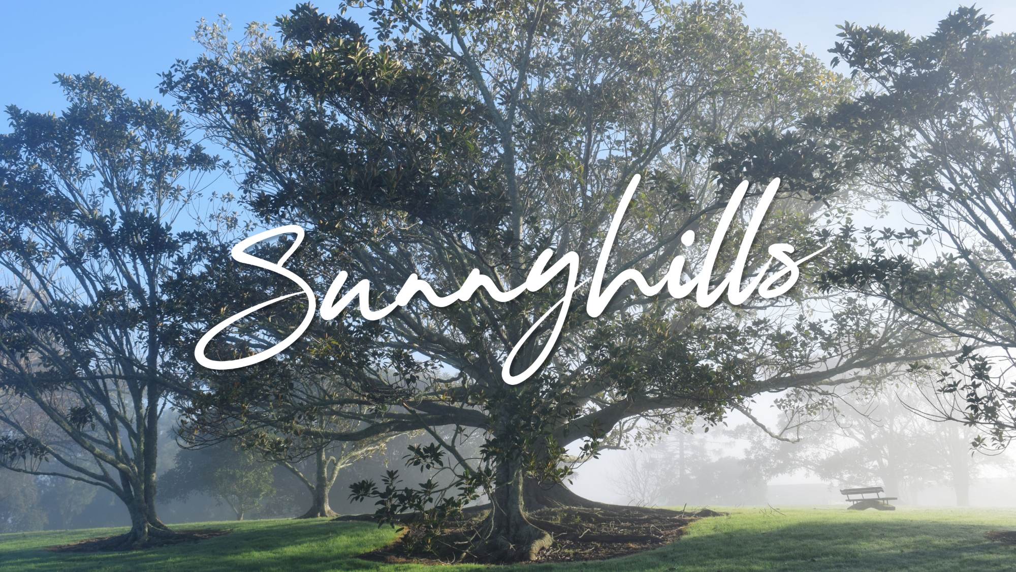 Sunnyhills on a misty morning, East Auckland